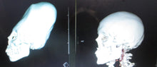 画像をギャラリービューアに読み込む, Cinnamon Skull Cast Replica Peruvian Elongated Skull (not an Alien)