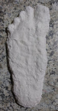 Load image into Gallery viewer, (Clearance) 2008 Bigfoot print cast from Yosemite National Park 2008 Yosemite Bigfoot cast replica