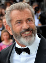 Load image into Gallery viewer, Mel Gibson life cast life mask