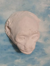 Load image into Gallery viewer, Baboon (Papio ursinus), female death cast replica Life cast