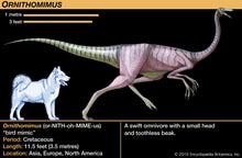 Cargar imagen en el visor de la galería, Ornithomimus Dinosaur Foot Cast Replica