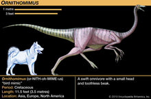 画像をギャラリービューアに読み込む, Ornithomimus Dinosaur Foot Cast Replica