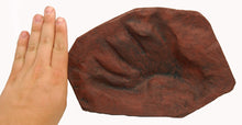Cargar imagen en el visor de la galería, Dimetrodon Foot cast replica