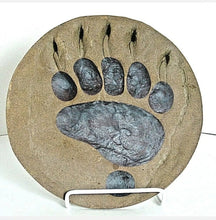 Cargar imagen en el visor de la galería, Grizzly Track #MC Paw Print Grizzly Track B W Shull 10.75&quot; Diam Rare Plaster Bear footprint track cast replica