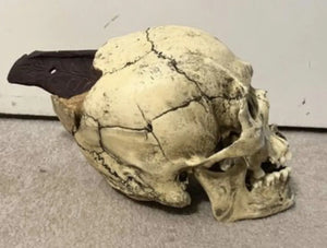 Spanish Conquistador Human Skull with Broad Ax Trauma Human skull Ax cast replica