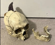 Cargar imagen en el visor de la galería, Spanish Conquistador Human Skull with Broad Ax Trauma Human skull Ax cast replica