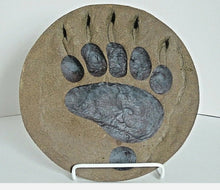 Load image into Gallery viewer, Paw Print Grizzly Track B W Shull 10.75&quot; Diam Rare Plaster Bear footprint track cast replica