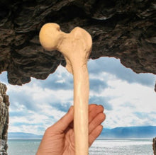 画像をギャラリービューアに読み込む, Neanderthal Femur Leg Bone Cast Replica Hominid cast replicas