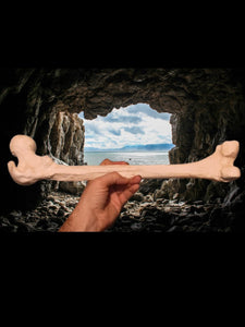 Neanderthal Femur Leg Bone Cast Replica Hominid cast replicas