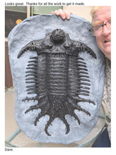 画像をギャラリービューアに読み込む, Terataspis grandis (Giant Trilobite) Cast Replica