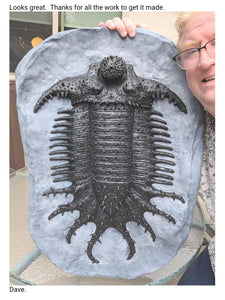 Terataspis grandis (Giant Trilobite) Cast Replica
