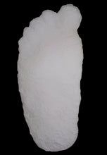 Load image into Gallery viewer, 1963 Graves Bigfoot cast replica track