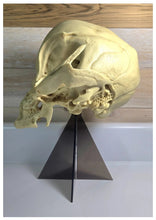 Load image into Gallery viewer, Alien Grey skull cast replica (Updated 1/25)