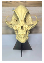 Load image into Gallery viewer, Alien Grey skull cast replica (Updated 1/25)