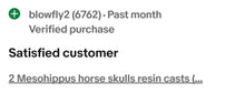 Load image into Gallery viewer, Eohippus (Hyracotherium) Horse skull cast replica