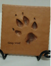 Load image into Gallery viewer, Wolf: Real Gray Wolf Footprint Cast Replica