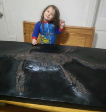 Cargar imagen en el visor de la galería, International shipping Plesiosaurus Skeleton cast replica marine reptile