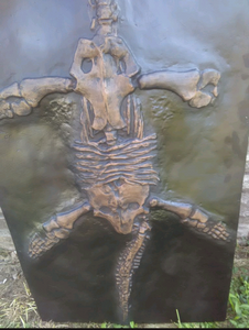 International shipping Plesiosaurus Skeleton cast replica marine reptile