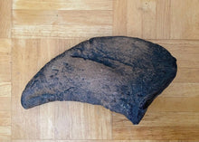 Cargar imagen en el visor de la galería, Camarasaurus claw cast replica #1