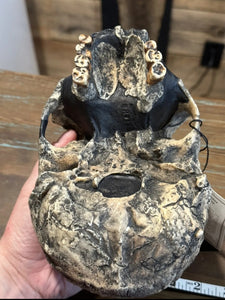 KNM-ER 1813

Homo habilis cast replica (skull only) Updated 2023