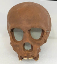 Cargar imagen en el visor de la galería, La Quina Neanderthal Child Hominid skull cast replicas