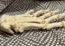 Load image into Gallery viewer, Black Bear front Paw cast replica