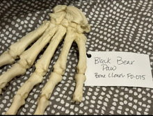 Laden Sie das Bild in den Galerie-Viewer, Black Bear front Paw cast replica