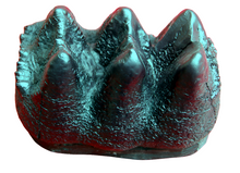 Load image into Gallery viewer, Mastodon small Tooth cast replica #3 Pleistocene. Ice Age