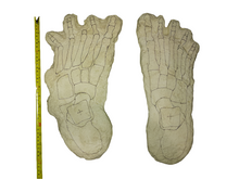Load image into Gallery viewer, 1969 Bigfoot "Cripple Foot" cast B