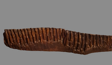 Laden Sie das Bild in den Galerie-Viewer, Edmontosaurus Tooth  "Battery" Teeth. Cast Replica #3 Dinosaur