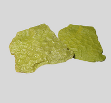 Load image into Gallery viewer, Dinosaur skin impression #2 cast replica