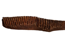Laden Sie das Bild in den Galerie-Viewer, Edmontosaurus Tooth  "Battery" Teeth. Cast Replica #3 Dinosaur