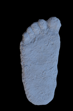 Load image into Gallery viewer, 1963 (1967?) Pat Graves Bigfoot track cast Patterson - (formerly Gimlin E cast)