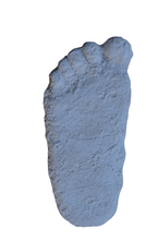 Load image into Gallery viewer, 1963 (1967?) Pat Graves Bigfoot track cast Patterson - (formerly Gimlin E cast)