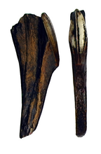 Charger l'image dans la galerie, Edmontosaurus Tooth Cast Replica #4 Dinosaur