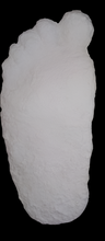Load image into Gallery viewer, 1963 Graves Bigfoot cast replica track