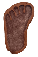 Cargar imagen en el visor de la galería, 1983 Bigfoot Grover Krantz LIMITED EDITION TRACK CAST Sasquatch footprint cast