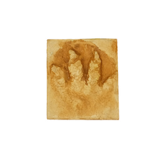 Load image into Gallery viewer, Chirotherium footprint track cast replica foot impression