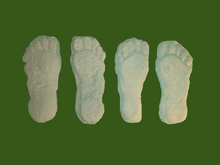 Cargar imagen en el visor de la galería, 1982 Grays Harbor Heryford Bigfoot print cast "B"