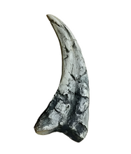 Load image into Gallery viewer, Utahraptor Claw Dinosaur Dromaeosauridae Raptor claw cast replica