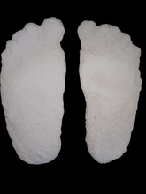 Load image into Gallery viewer, 1963 Laird Meadow road Bigfoot cast replica track