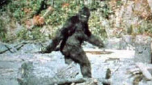 Laden Sie das Bild in den Galerie-Viewer, 1967 Bigfoot print Patty #3 Midtarsal Break Found by Bob Titmus 1967 Capturing Bigfoot Patterson Gimlin Footprint Cast