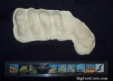 Load image into Gallery viewer, Discounted: 1982 Bigfoot / Sasquatch knuckle print cast replica (Copy)