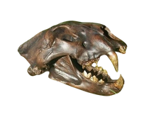 Charger l&#39;image dans la galerie, American Lion Skull Tapit Finish Cast Replica Reproduction (Updated 1/24)