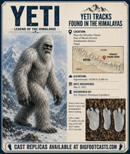 画像をギャラリービューアに読み込む, 1951 Yeti #1 footprint cast replica track