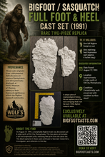 Laden Sie das Bild in den Galerie-Viewer, 1991 Bigfoot Oil City, Pa. Sasquatch, Yeti, Full Foot and Heel Cast Set (1991  Oil City, PA. 1991