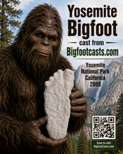 Charger l'image dans la galerie, 2008 Bigfoot print cast from Yosemite National Park 2008 Yosemite Bigfoot cast replica