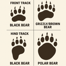 Load image into Gallery viewer, Bear: Footprint Adult Black Bear footprint cast replica