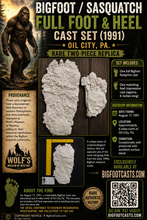 Laden Sie das Bild in den Galerie-Viewer, 1991 Bigfoot Oil City, Pa. Sasquatch, Yeti, Full Foot and Heel Cast Set (1991  Oil City, PA. 1991
