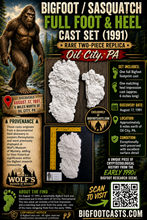 Laden Sie das Bild in den Galerie-Viewer, 1991 Bigfoot Oil City, Pa. Sasquatch, Yeti, Full Foot and Heel Cast Set (1991  Oil City, PA. 1991